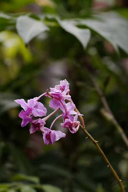 Famille & amis-OCT12-073